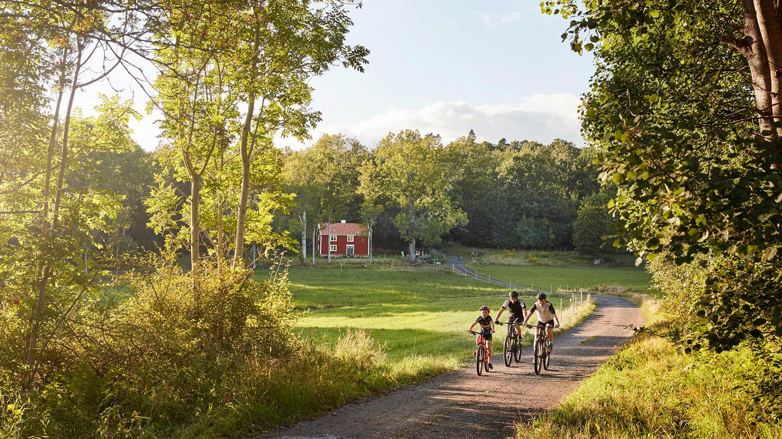 Tre drenge cykler på en grusvej foran et rødt hus om sommeren